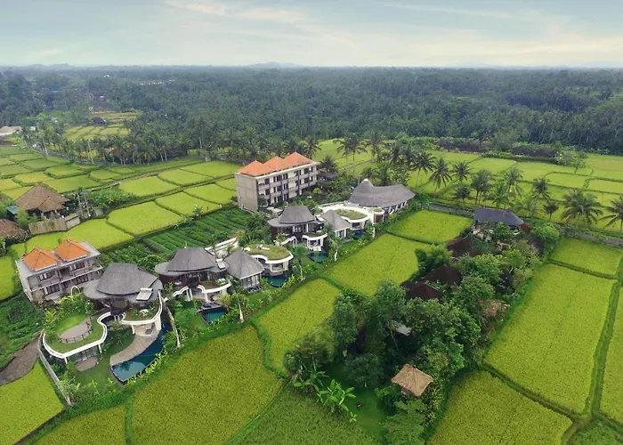 Mango * Ubud