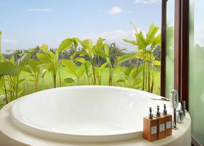Mango Villa